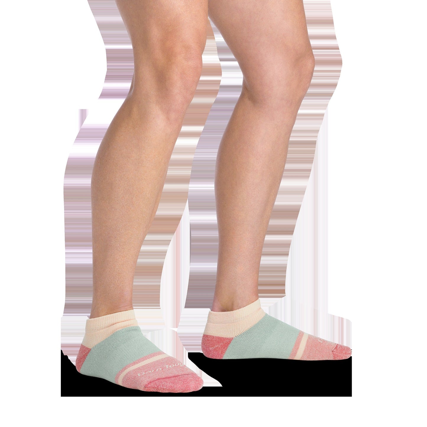 Women's Apres No Show Heavyweight Lifestyle Socks